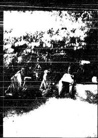 Portada:Fotografía de la necrópolis romana hallada en Manresa