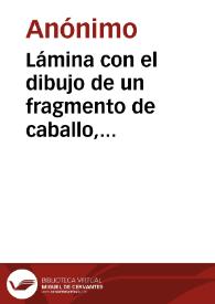 Portada:Lámina con el dibujo de un fragmento de caballo, perteneciente al mosaico romano hallado en la calle Curia de Pamplona.