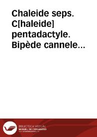 Portada:Chaleide seps. C[haleide] pentadactyle. Bipède cannele (Reptiles)