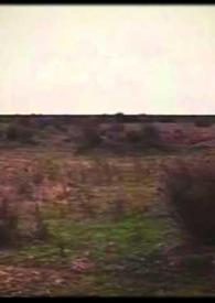 Más información sobre Don Segundo Sombra. Película. Capítulo XV [Fragmento] / adaptación cinematográfica de la novela homónima dirigida por Manuel Antín