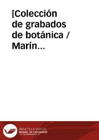 [Colección de grabados de botánica / Marín Menor, ft.] | Biblioteca Virtual Miguel de Cervantes