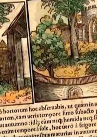 Portada:Portal \"Fondo Antiguo de Universidades y Colecciones Singulares\" en la Biblioteca Virtual Miguel de Cervantes